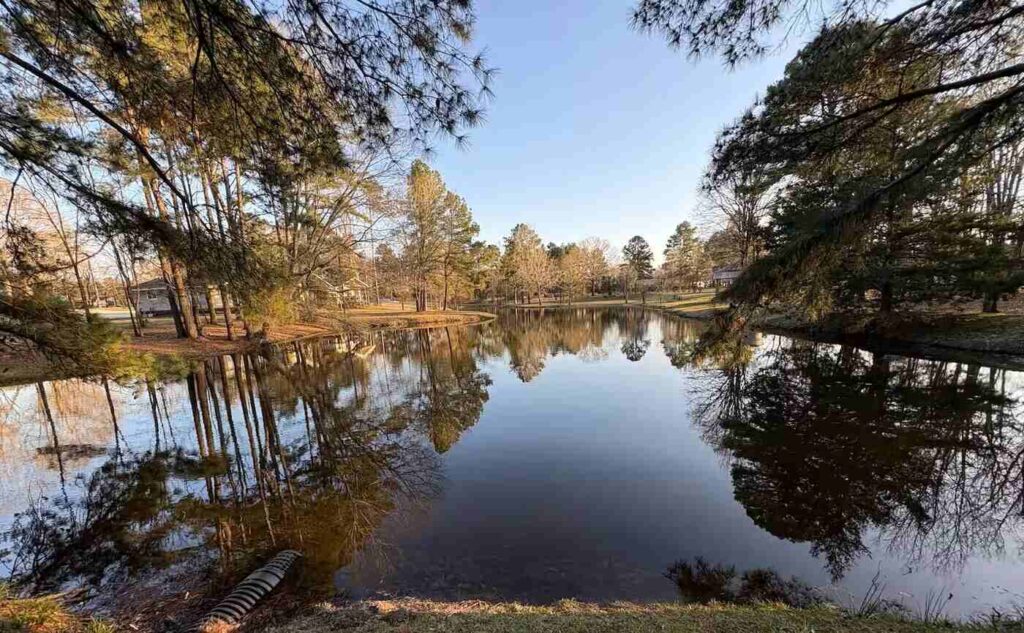 fishing pond views