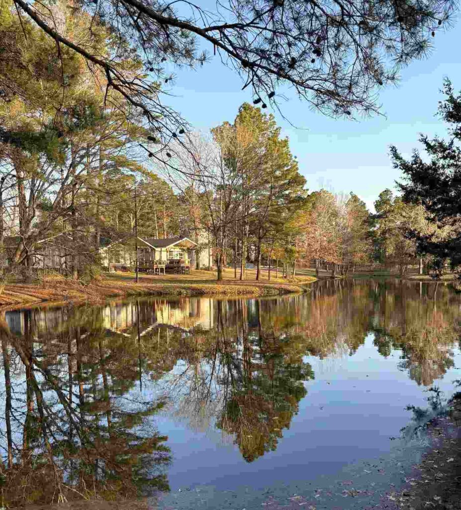 view overlooking the fishing pond